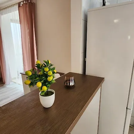 University Amazing Apartman