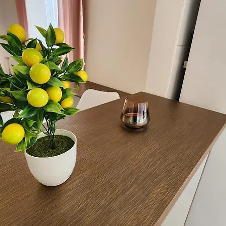 Apartman University Amazing *